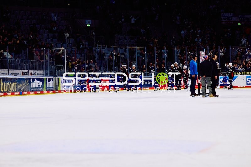 Adler Mannheim vs Schwenninger Wild Wings | 19.01.2024