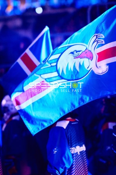 Adler Mannheim vs Schwenninger Wild Wings | 19.01.2024