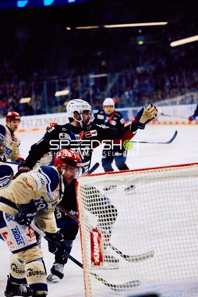 Adler Mannheim vs Schwenninger Wild Wings | 19.01.2024