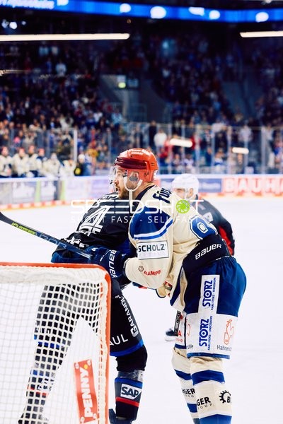Adler Mannheim vs Schwenninger Wild Wings | 19.01.2024