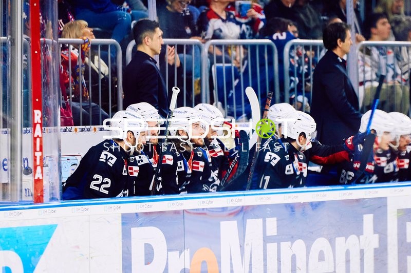 Adler Mannheim vs Schwenninger Wild Wings | 19.01.2024