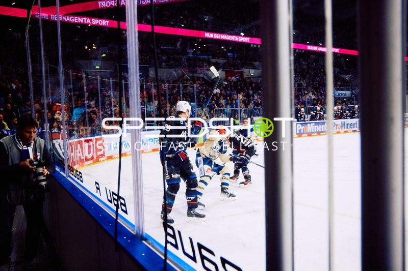 Adler Mannheim vs Schwenninger Wild Wings | 19.01.2024