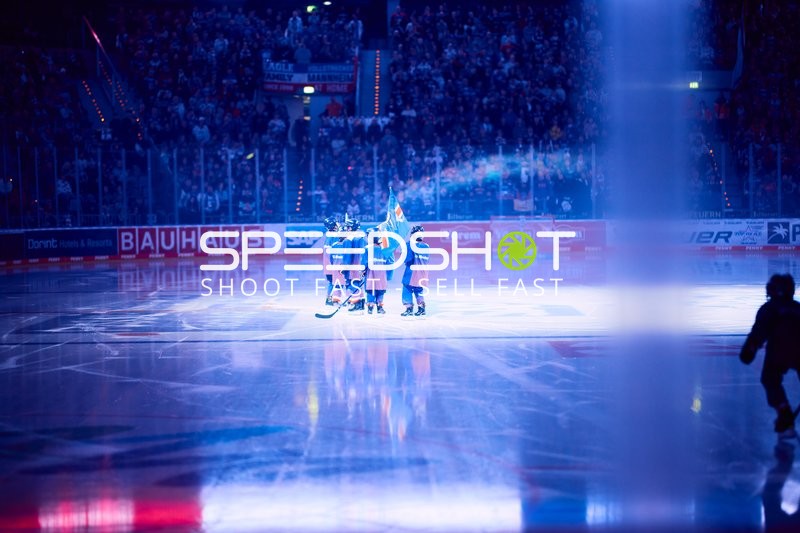 Adler Mannheim vs Schwenninger Wild Wings | 19.01.2024