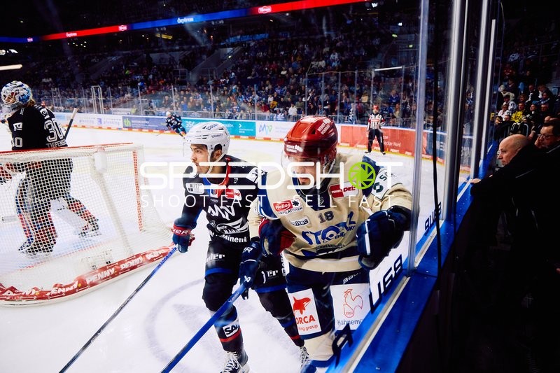 Adler Mannheim vs Schwenninger Wild Wings | 19.01.2024