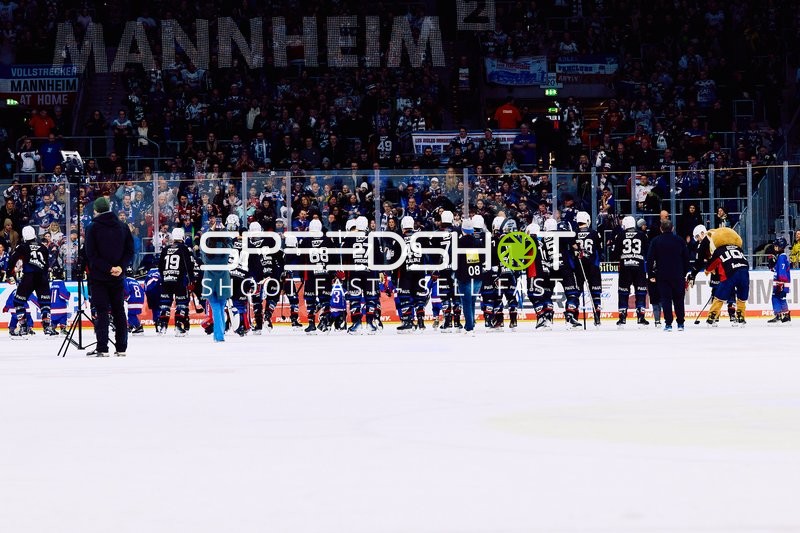Adler Mannheim vs Schwenninger Wild Wings | 19.01.2024