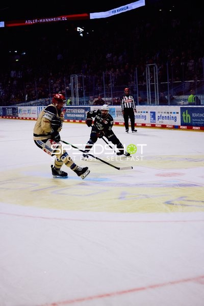 Adler Mannheim vs Schwenninger Wild Wings | 19.01.2024