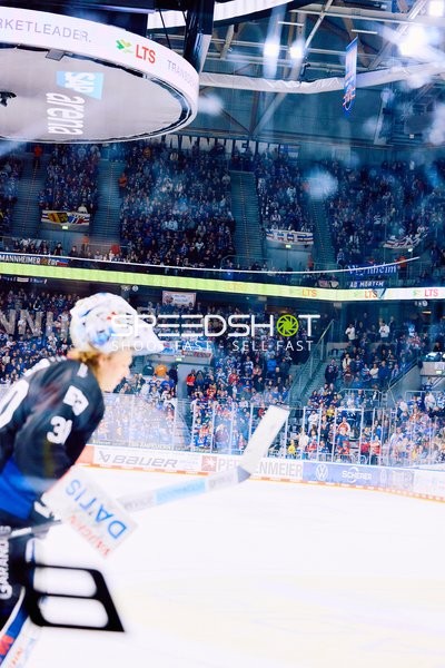 Adler Mannheim vs Schwenninger Wild Wings | 19.01.2024