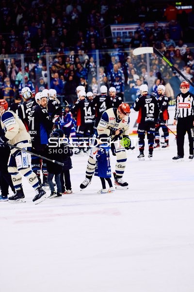 Adler Mannheim vs Schwenninger Wild Wings | 19.01.2024