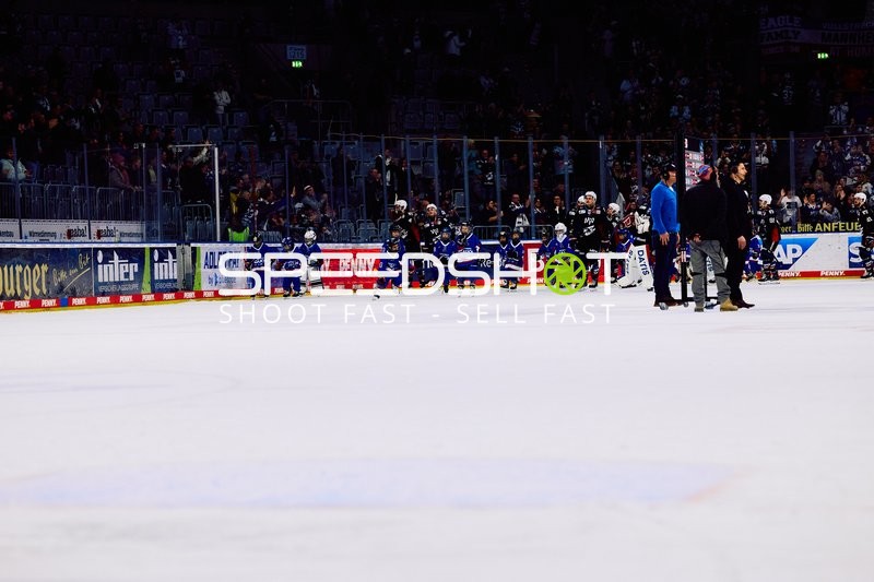 Adler Mannheim vs Schwenninger Wild Wings | 19.01.2024