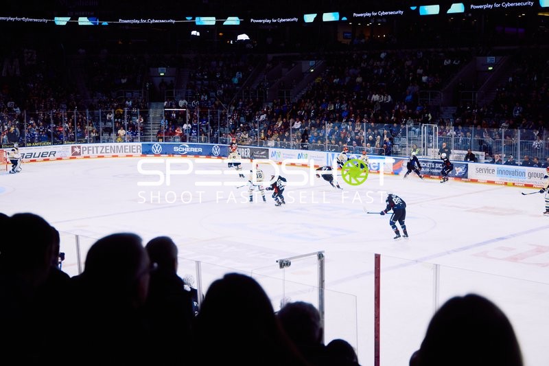 Adler Mannheim vs Schwenninger Wild Wings | 19.01.2024