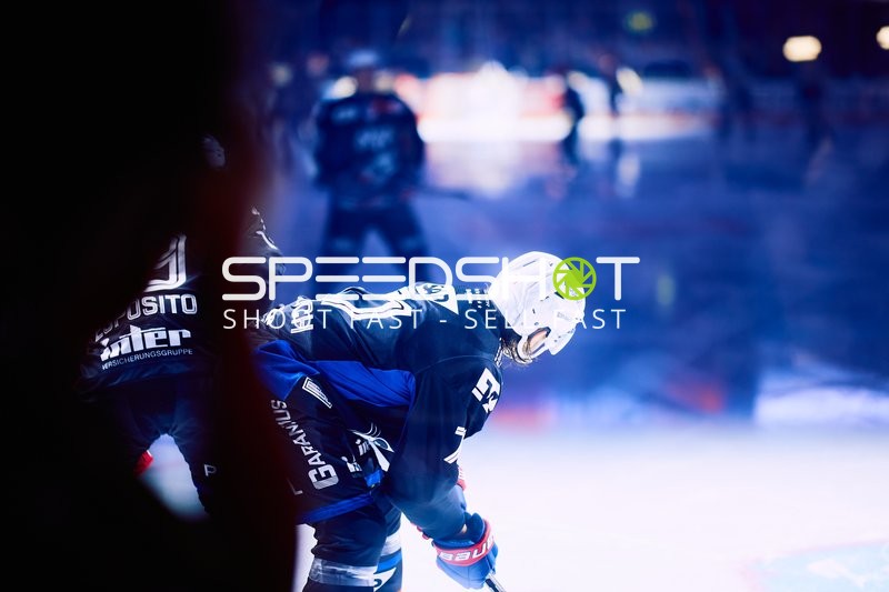 Adler Mannheim vs Schwenninger Wild Wings | 19.01.2024