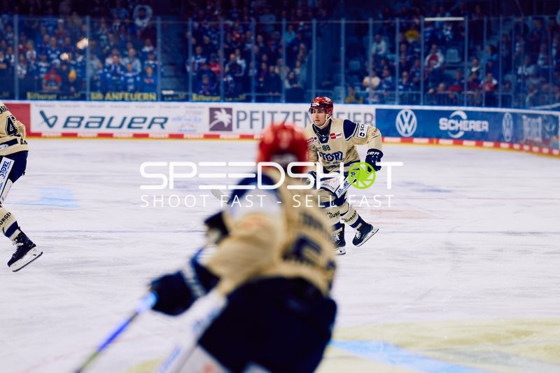 Adler Mannheim vs Schwenninger Wild Wings | 19.01.2024