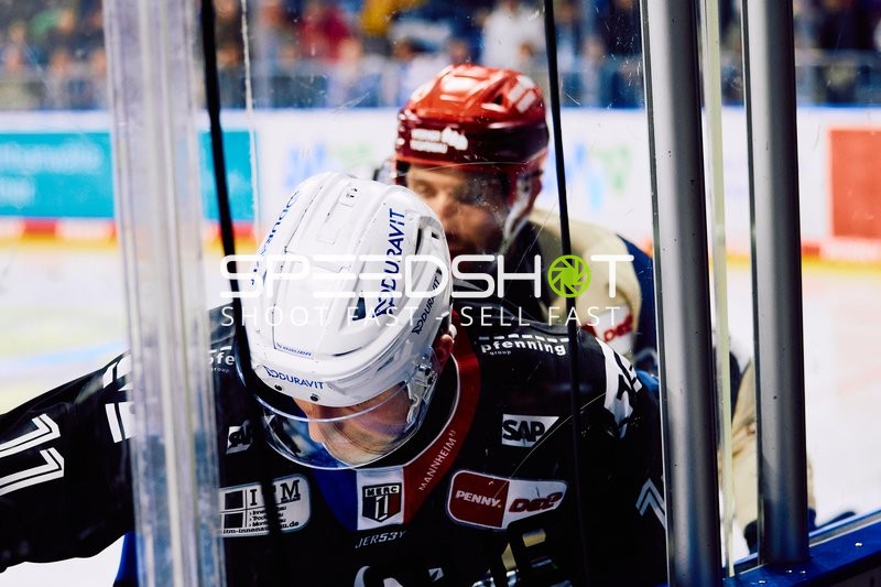 Adler Mannheim vs Schwenninger Wild Wings | 19.01.2024