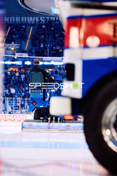 Adler Mannheim vs Schwenninger Wild Wings | 19.01.2024