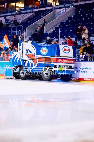 Adler Mannheim vs Schwenninger Wild Wings | 19.01.2024