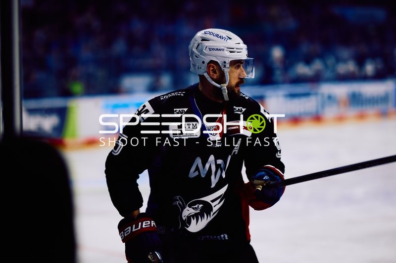Adler Mannheim vs Schwenninger Wild Wings | 19.01.2024