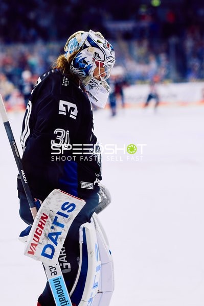 Adler Mannheim vs Schwenninger Wild Wings | 19.01.2024