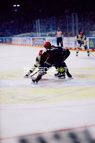 Adler Mannheim vs Schwenninger Wild Wings | 19.01.2024