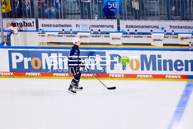 Adler Mannheim vs Schwenninger Wild Wings | 19.01.2024
