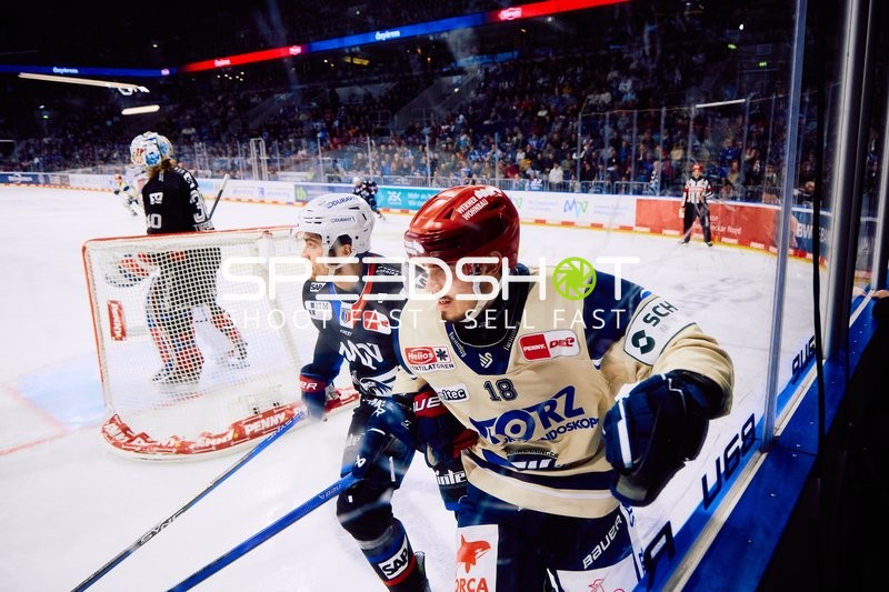 Adler Mannheim vs Schwenninger Wild Wings | 19.01.2024