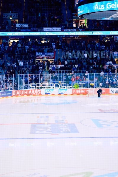 Adler Mannheim vs Schwenninger Wild Wings | 19.01.2024