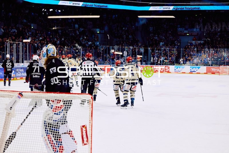 Adler Mannheim vs Schwenninger Wild Wings | 19.01.2024