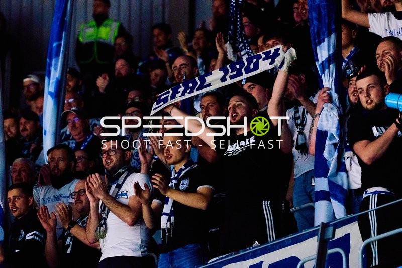 Adler Mannheim vs Schwenninger Wild Wings | 19.01.2024
