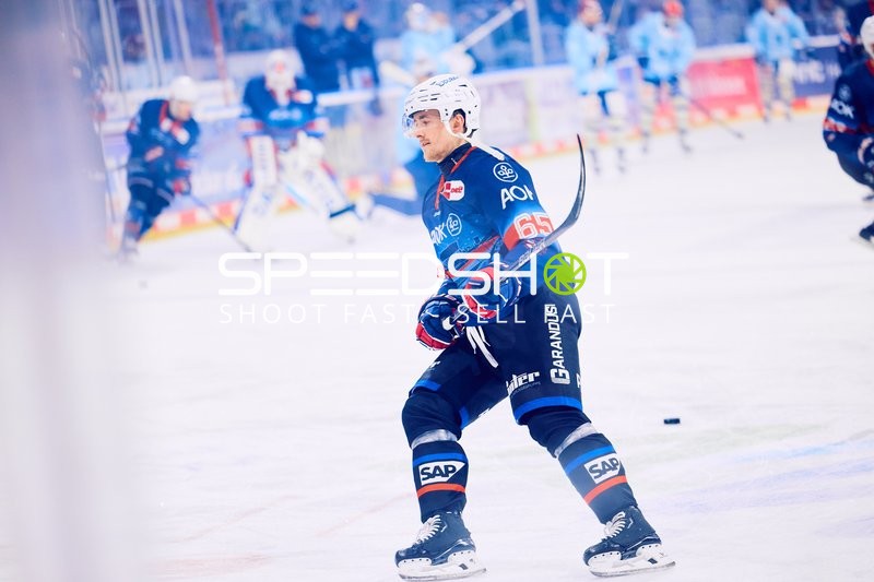 Adler Mannheim vs Schwenninger Wild Wings | 19.01.2024