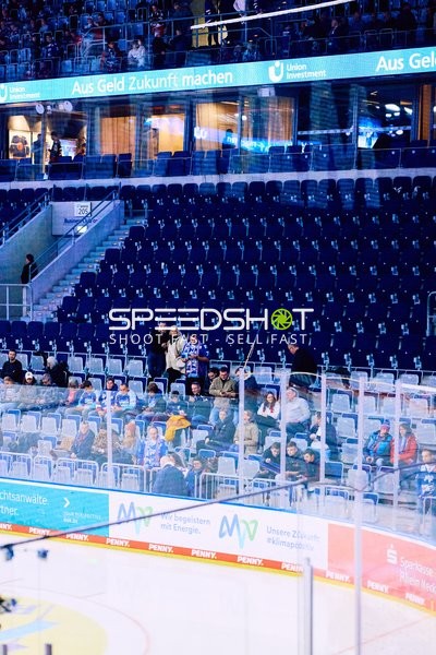 Adler Mannheim vs Schwenninger Wild Wings | 19.01.2024