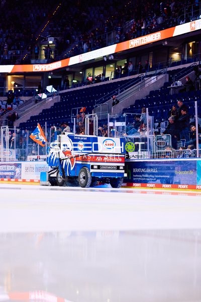 Adler Mannheim vs Schwenninger Wild Wings | 19.01.2024