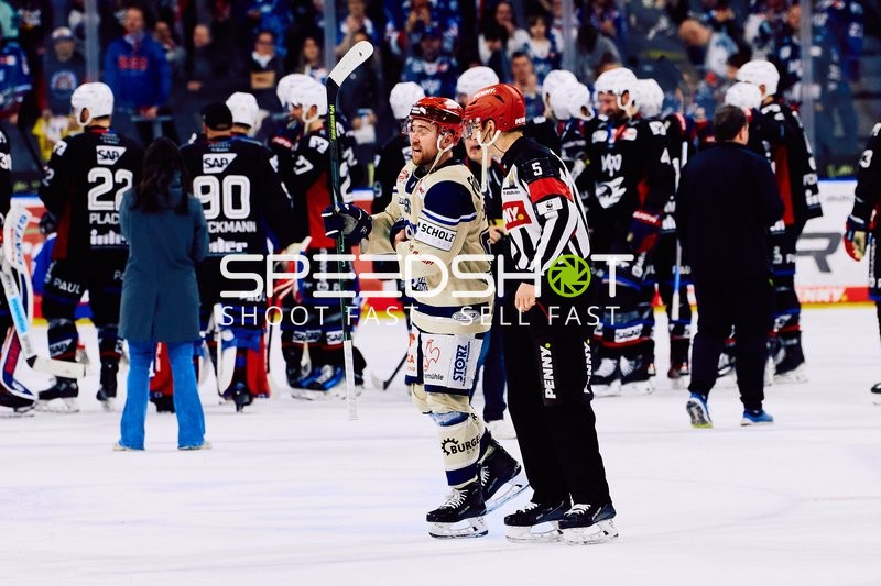 Adler Mannheim vs Schwenninger Wild Wings | 19.01.2024