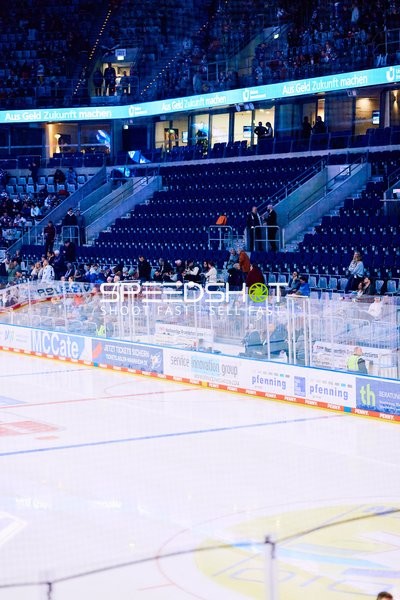 Adler Mannheim vs Schwenninger Wild Wings | 19.01.2024