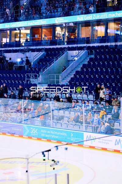 Adler Mannheim vs Schwenninger Wild Wings | 19.01.2024