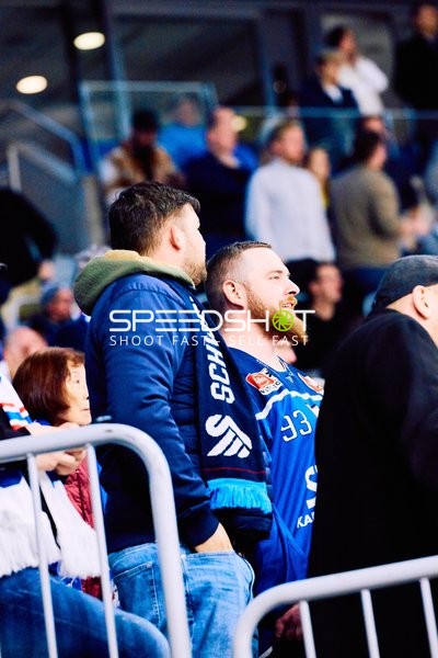 Adler Mannheim vs Schwenninger Wild Wings | 19.01.2024