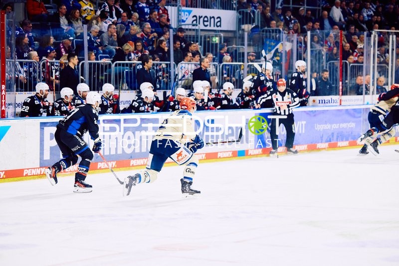 Adler Mannheim vs Schwenninger Wild Wings | 19.01.2024