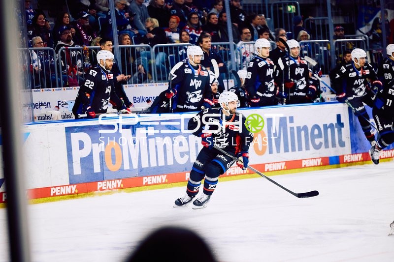 Adler Mannheim vs Schwenninger Wild Wings | 19.01.2024