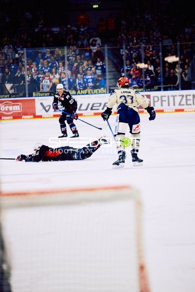 Adler Mannheim vs Schwenninger Wild Wings | 19.01.2024