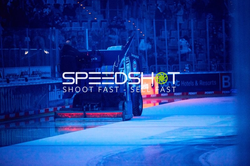 Adler Mannheim vs Schwenninger Wild Wings | 19.01.2024