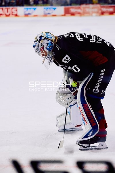 Adler Mannheim vs Schwenninger Wild Wings | 19.01.2024