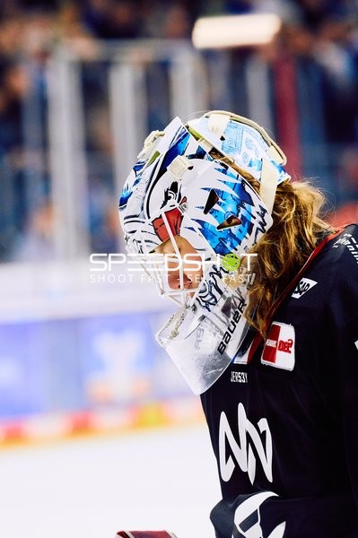 Adler Mannheim vs Schwenninger Wild Wings | 19.01.2024