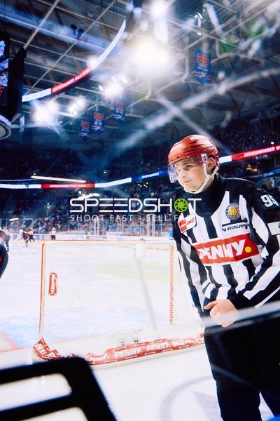 Adler Mannheim vs Schwenninger Wild Wings | 19.01.2024