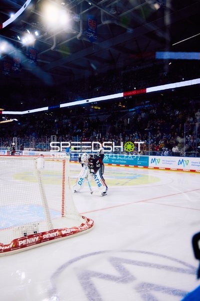 Adler Mannheim vs Schwenninger Wild Wings | 19.01.2024