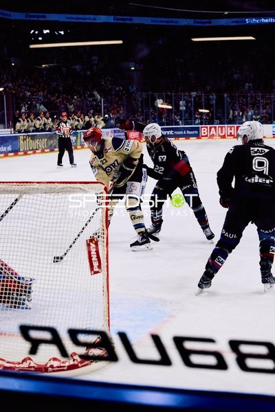 Adler Mannheim vs Schwenninger Wild Wings | 19.01.2024
