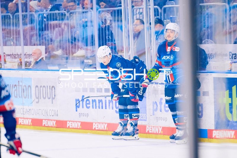 Adler Mannheim vs Schwenninger Wild Wings | 19.01.2024