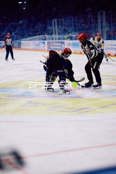 Adler Mannheim vs Schwenninger Wild Wings | 19.01.2024