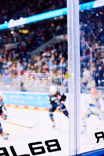 Adler Mannheim vs Schwenninger Wild Wings | 19.01.2024