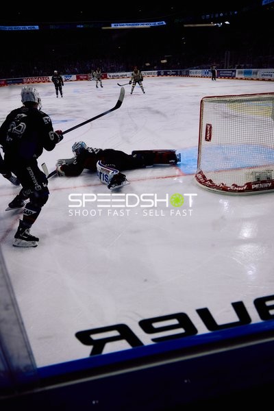Adler Mannheim vs Schwenninger Wild Wings | 19.01.2024