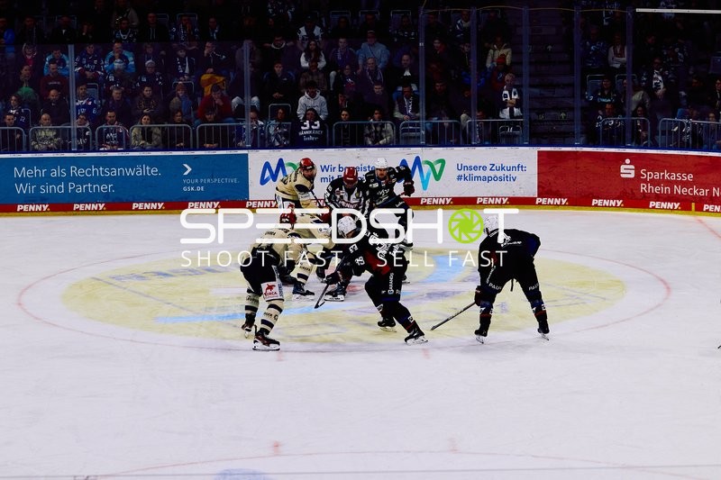 Adler Mannheim vs Schwenninger Wild Wings | 19.01.2024