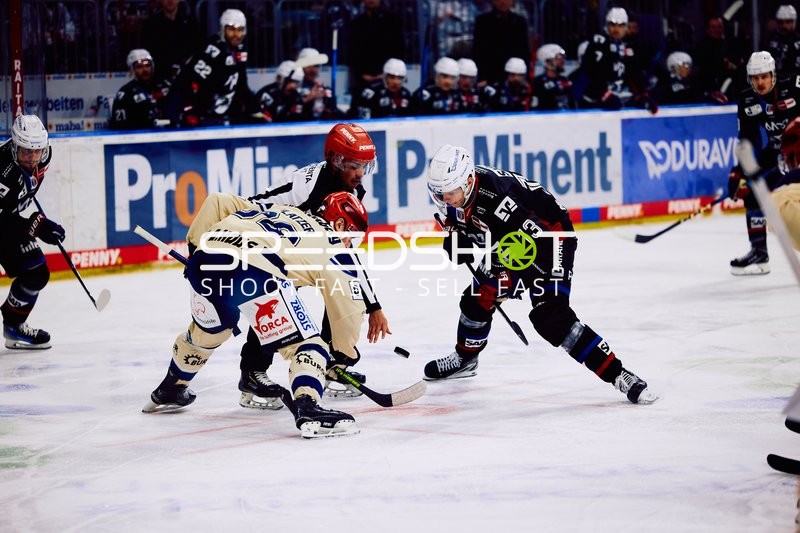 Adler Mannheim vs Schwenninger Wild Wings | 19.01.2024