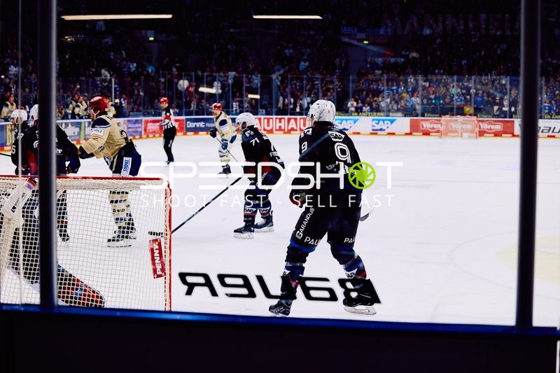 Adler Mannheim vs Schwenninger Wild Wings | 19.01.2024